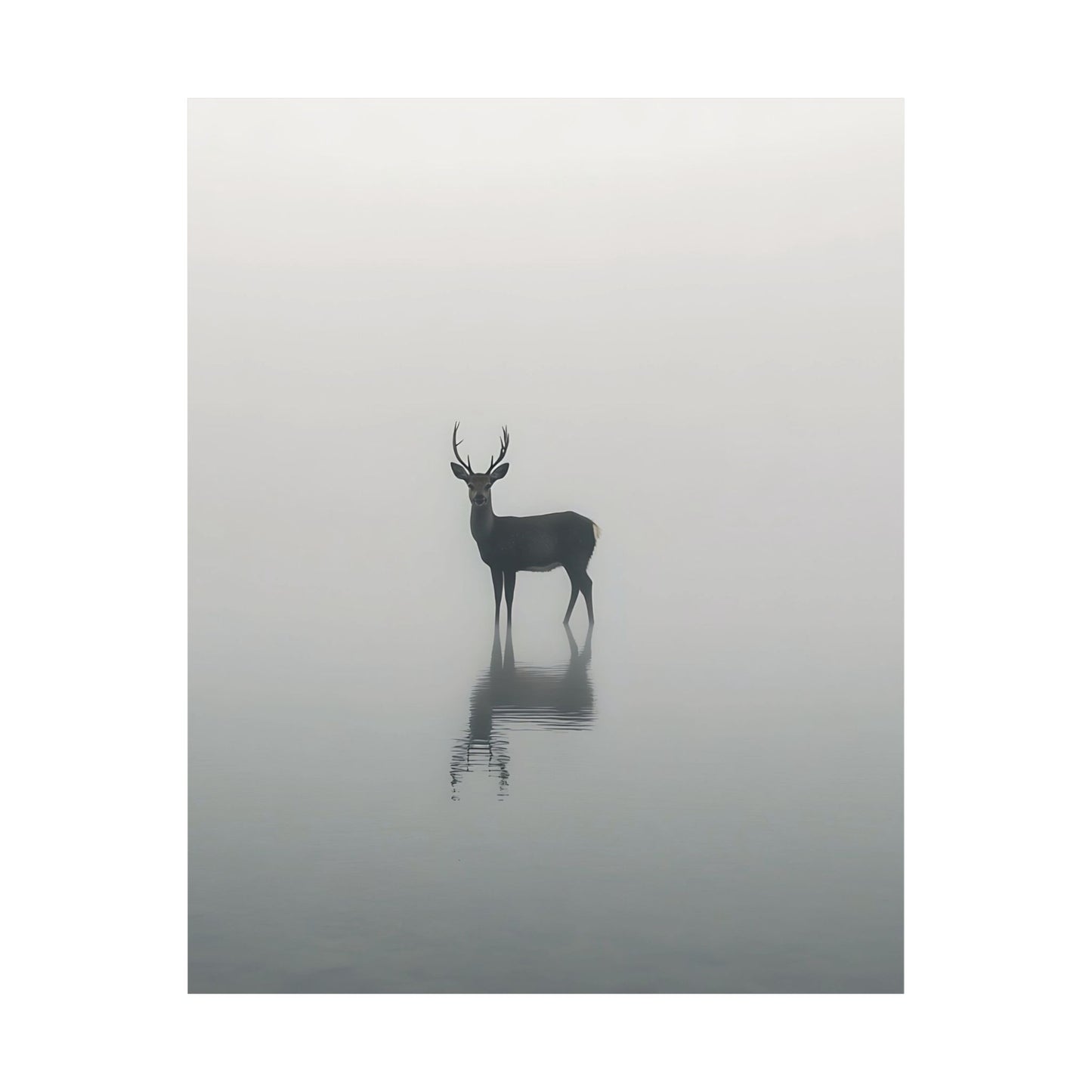Serene Stag Reflection Printed Poster