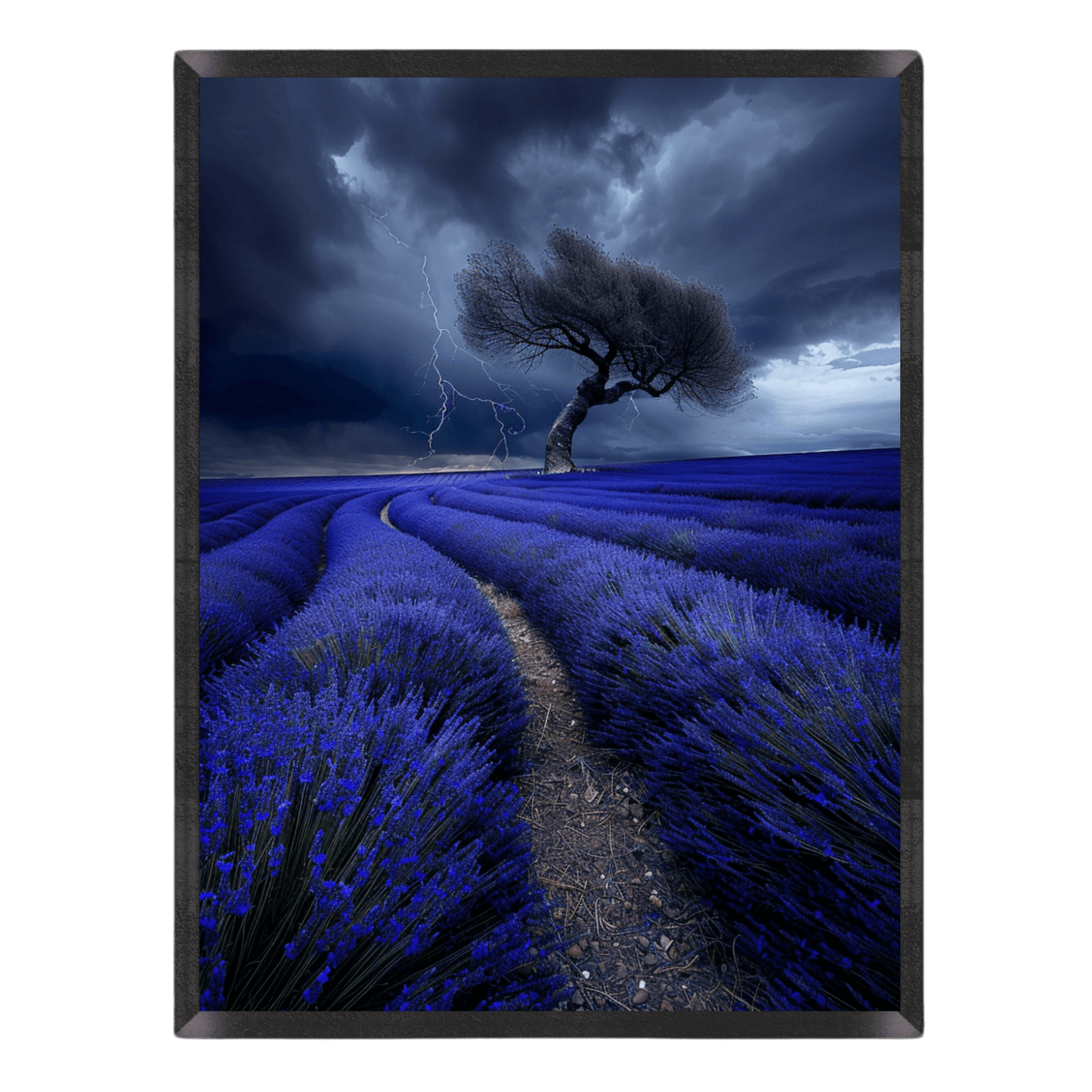 Lavender Storm
