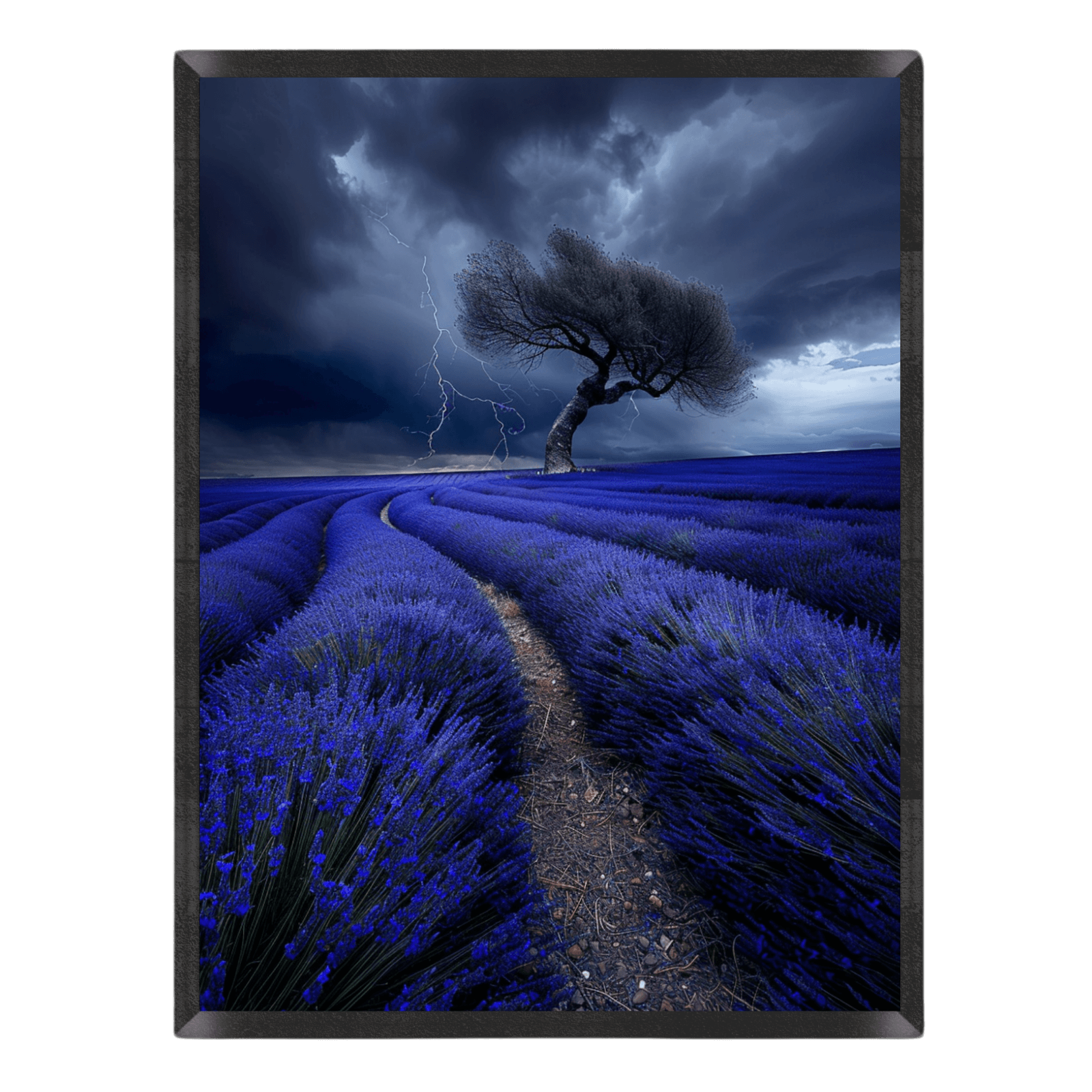 Lavender Storm