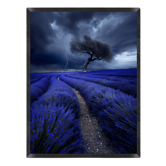 Lavender Storm