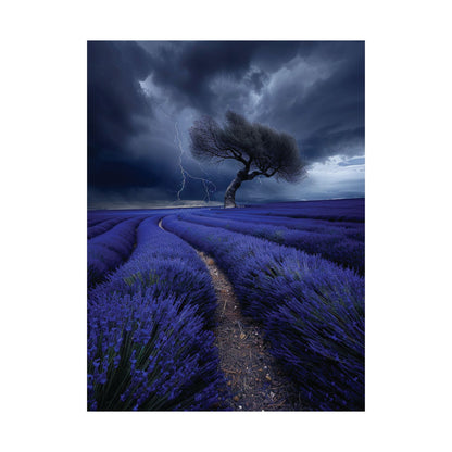 Lavender Storm Poster