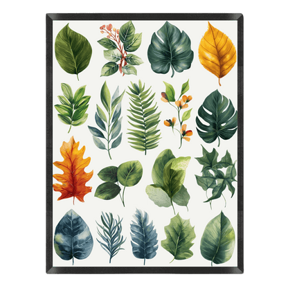 Botanical watercolor leaf collection poster featuring various green and autumn-colored leaves, including monstera, fern, and oak leaves, neatly arranged on a clean white background inside a thin black frame.