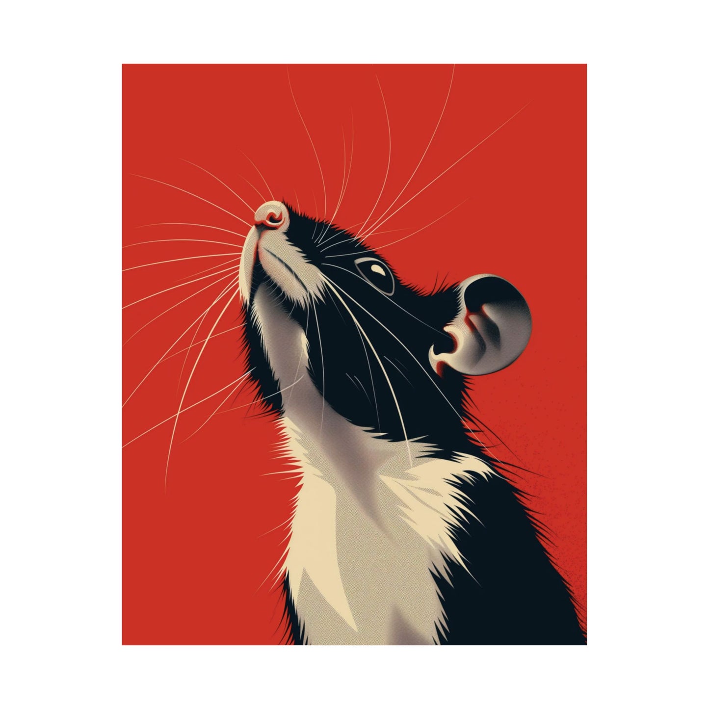 Curious Rat Printed Poster